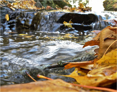 手机号压测工具